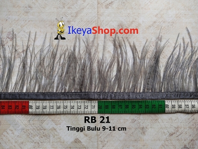 RB 21  large2